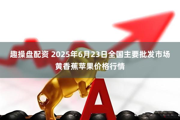 趣操盘配资 2025年6月23日全国主要批发市场黄香蕉苹果价格行情