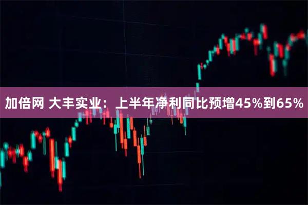 加倍网 大丰实业：上半年净利同比预增45%到65%