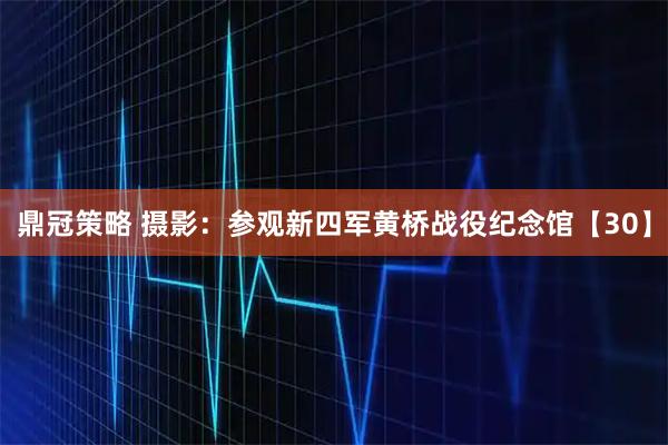 鼎冠策略 摄影：参观新四军黄桥战役纪念馆【30】