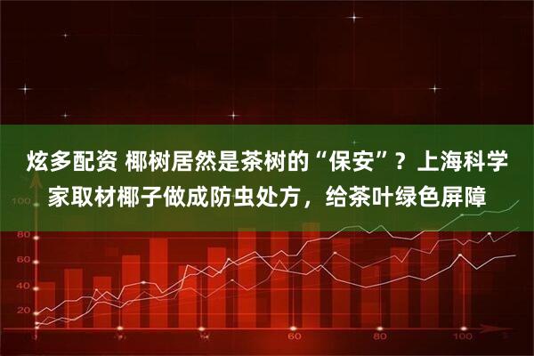 炫多配资 椰树居然是茶树的“保安”？上海科学家取材椰子做成防虫处方，给茶叶绿色屏障